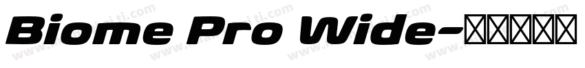 Biome Pro Wide字体转换